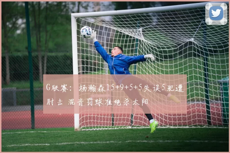 G联赛：杨瀚森15+9+5+5失误5犯遭肘击 混音罚球准绝杀太阳