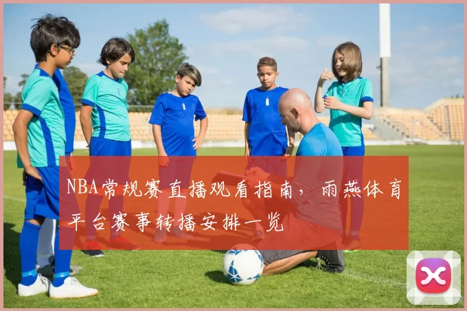 NBA常规赛直播观看指南，雨燕体育平台赛事转播安排一览